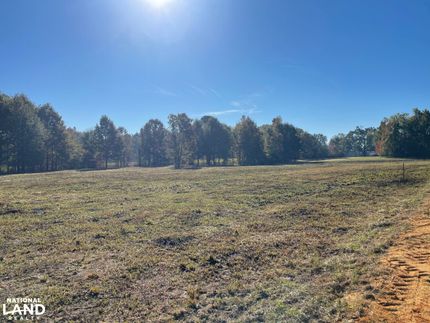 Timberland Property for sale in Wilcox County, Alabama