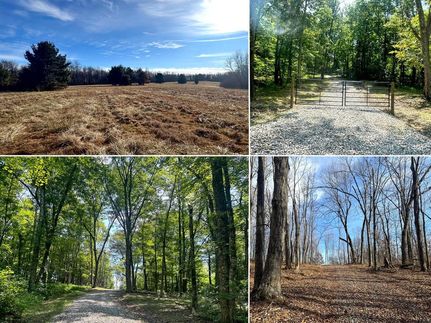 Undeveloped Land for sale in Pike County, Ohio