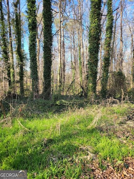 Undeveloped Land for sale in Gwinnett County, Georgia