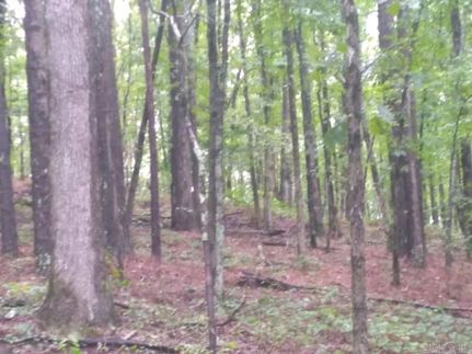 Undeveloped Land for sale in Hot Spring County, Arkansas