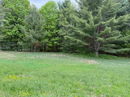 Undeveloped Land for sale in Saint Lawrence County, New York