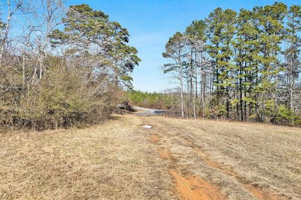Undeveloped Land for sale in Pittsylvania County, Virginia