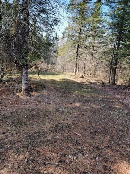 Ranch Property for sale in Sawyer County, Wisconsin