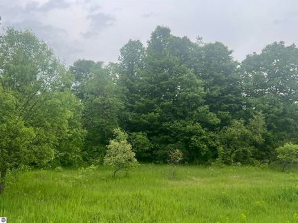 Undeveloped Land for sale in Kalkaska County, Michigan