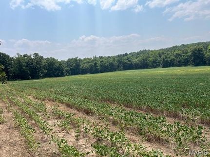 Undeveloped Land for sale in Gasconade County, Missouri