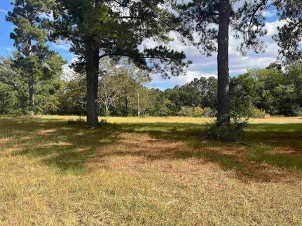 Undeveloped Land for sale in Covington County, Alabama