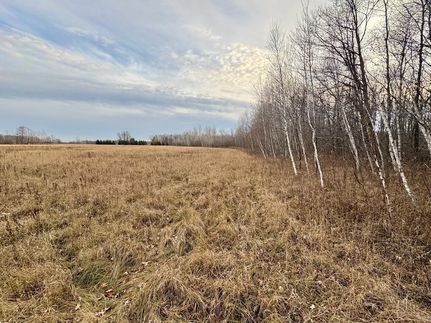 Timberland Property for sale in Kanabec County, Minnesota