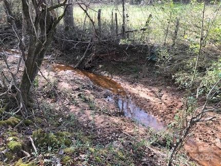 Undeveloped Land for sale in Rutherford County, North Carolina