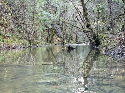 Property for sale in Humboldt County, California