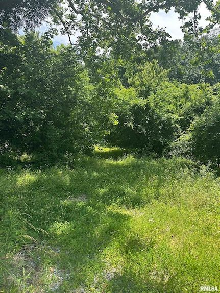 Undeveloped Land for sale in Union County, Illinois
