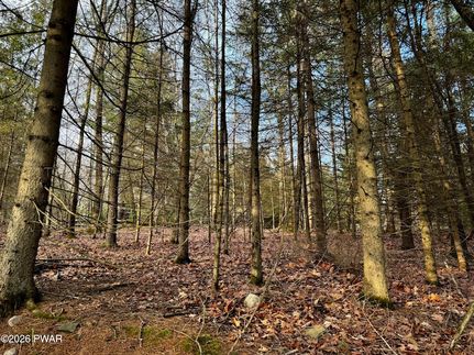 Undeveloped Land for sale in Pike County, Pennsylvania