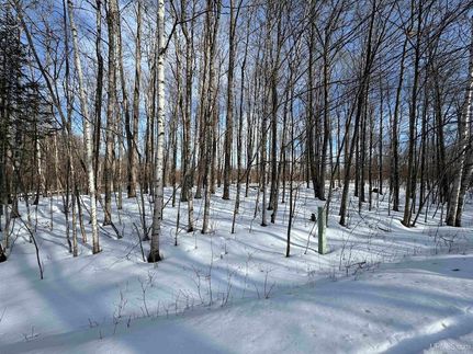 Undeveloped Land for sale in Iron County, Michigan