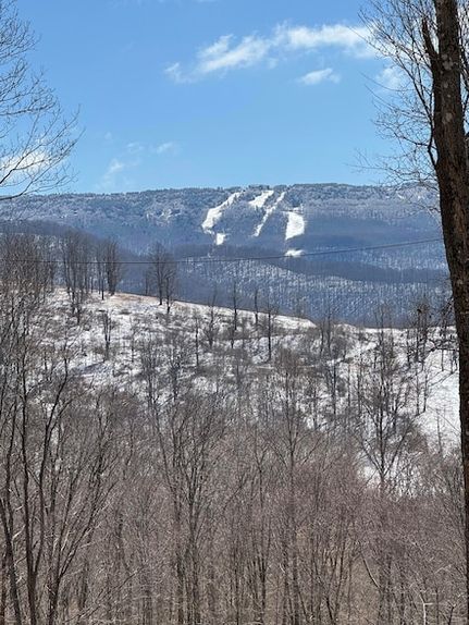 Undeveloped Land for sale in Pocahontas County, West Virginia