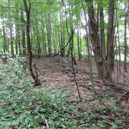 Farm Property for sale in Saratoga County, New York