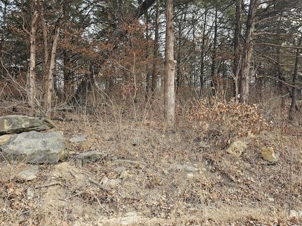 Undeveloped Land for sale in Hickory County, Missouri