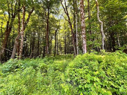 Undeveloped Land for sale in Oswego County, New York