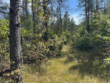 Ranch Property for sale in Juneau County, Wisconsin