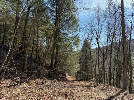 Undeveloped Land for sale in Armstrong County, Pennsylvania