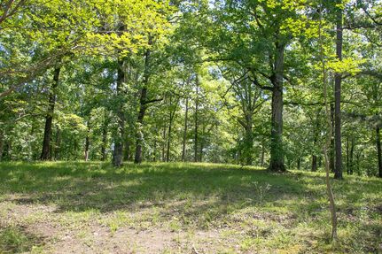 Waterfront Property for sale in Carroll County, Mississippi