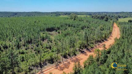 Farm Property for sale in Taylor County, Georgia