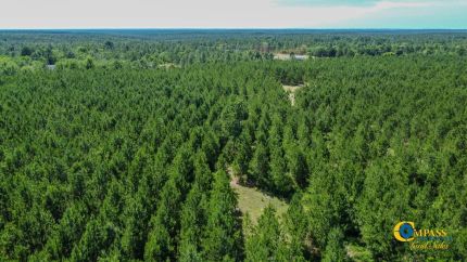Undeveloped Land for sale in Marion County, Georgia