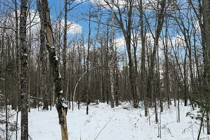 Ranch Property for sale in Sawyer County, Wisconsin