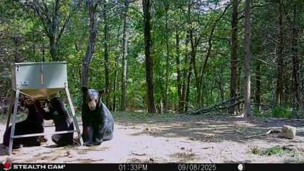 Hunting Land for sale in Latimer County, Oklahoma