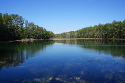 Farm Property for sale in Conecuh County, Alabama