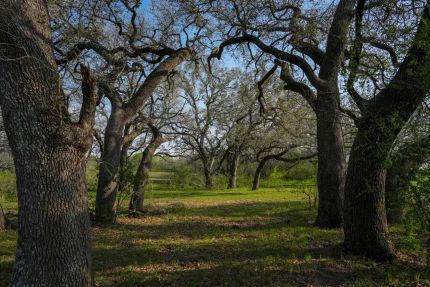 Ranch Property for sale in Wilson County, Texas
