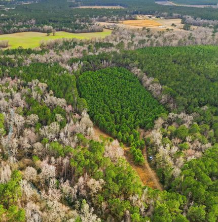 Ranch Property for sale in Georgetown County, South Carolina