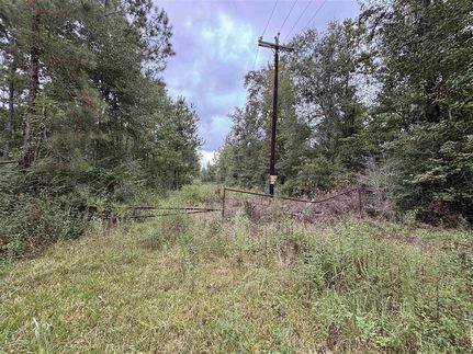 Undeveloped Land for sale in Beauregard Parish, Louisiana