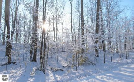 Undeveloped Land for sale in Grand Traverse County, Michigan