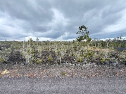 Undeveloped Land for sale in Hawaii County, Hawaii