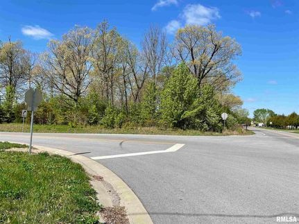 Undeveloped Land for sale in Williamson County, Illinois