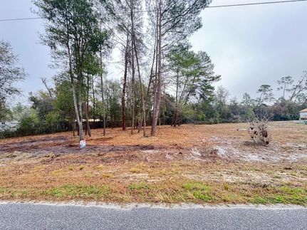 Undeveloped Land for sale in Lake County, Florida