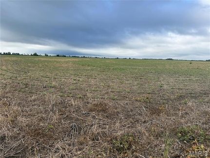 Undeveloped Land for sale in Pemiscot County, Missouri