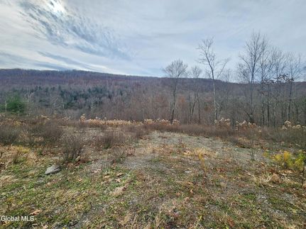 Undeveloped Land for sale in Schoharie County, New York