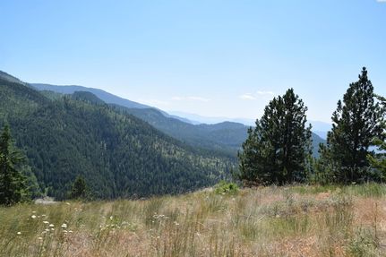 Timberland Property for sale in Stevens County, Washington