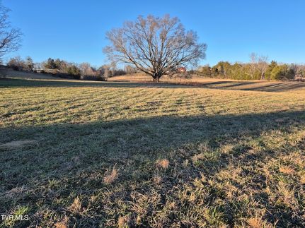 Undeveloped Land for sale in Greene County, Tennessee