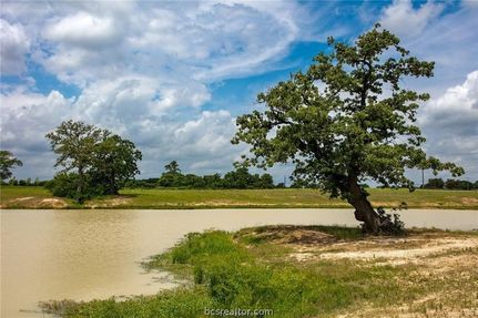 Undeveloped Land for sale in Brazos County, Texas