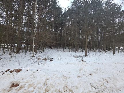 Undeveloped Land for sale in Waushara County, Wisconsin