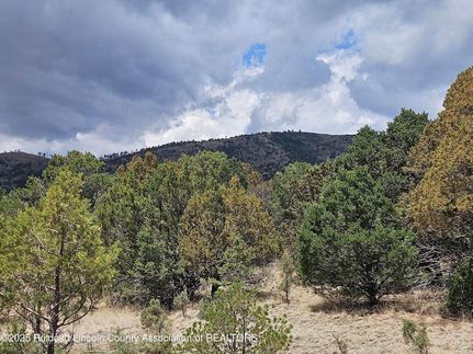 Undeveloped Land for sale in Lincoln County, New Mexico