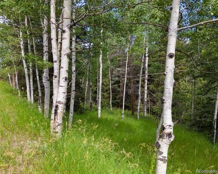 Undeveloped Land for sale in Jefferson County, Colorado