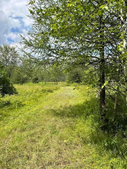 Undeveloped Land for sale in Forest County, Wisconsin