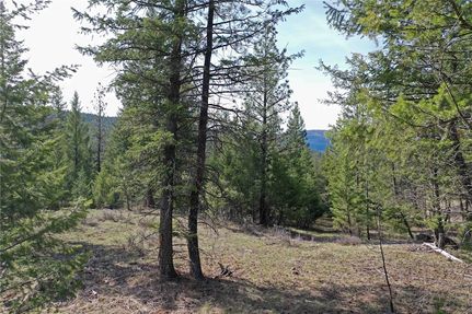 Undeveloped Land for sale in Lincoln County, Montana