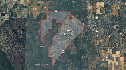 Hunting Land for sale in Levy County, Florida