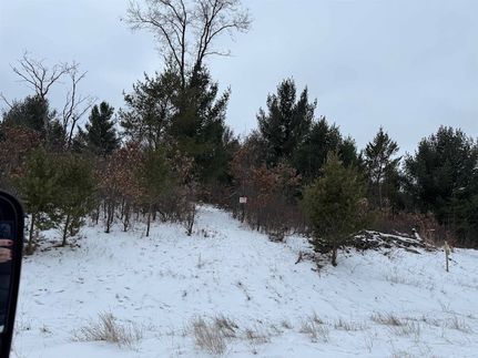 Undeveloped Land for sale in Adams County, Wisconsin