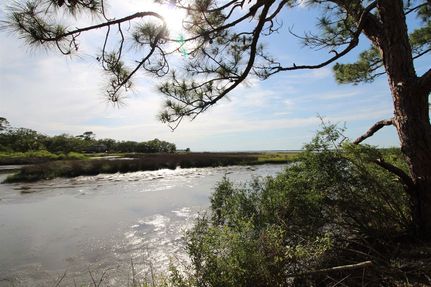 Undeveloped Land for sale in Franklin County, Florida