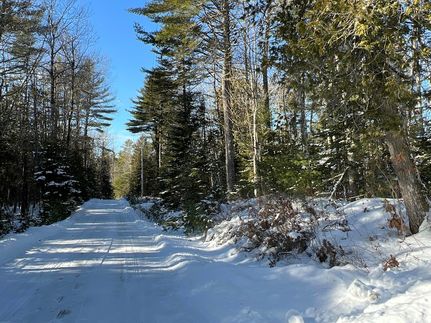 Undeveloped Land for sale in Hancock County, Maine