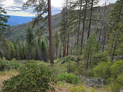 Undeveloped Land for sale in Siskiyou County, California